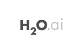 h2oai