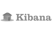 kibana