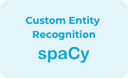 Custom entity recognition
