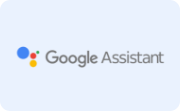 Google Assistant