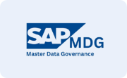 SAP Master Data Governance